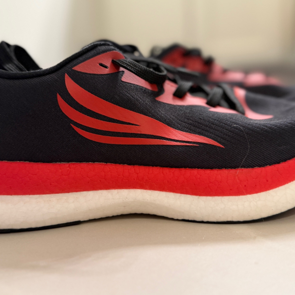 Image of Other Swift Running Equus