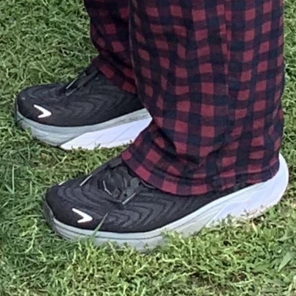 User uploaded image of Arahi 6