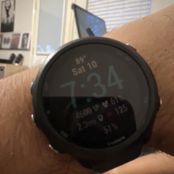 Image of Garmin Forerunner 245 Music