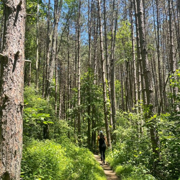 User uploaded image of Summer Sasquatch 50K, 20 Mile, 10 Mile