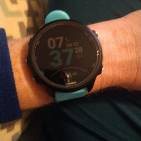 Image of Garmin Forerunner 245