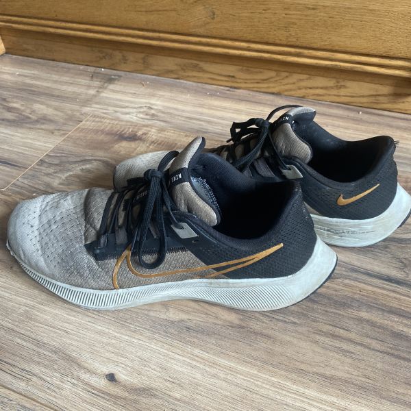 User uploaded image of Air Zoom Pegasus 38