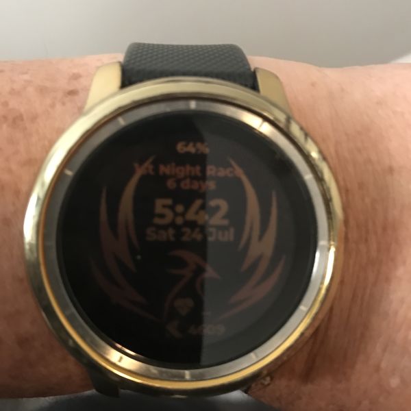 User uploaded image of vivoactive 3 GPS Smartwatch