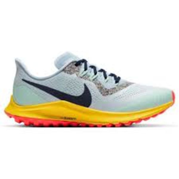 Image of Nike Nike Men's Pegasus 36 Trail Gor-Tex