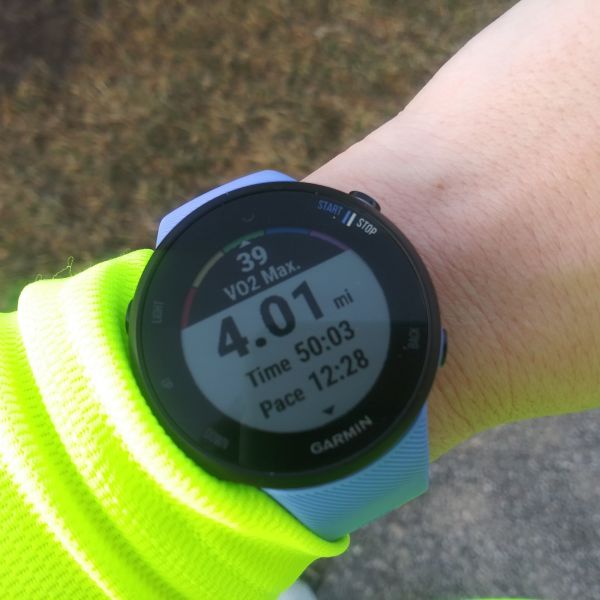 Image of Garmin Forerunner 45S