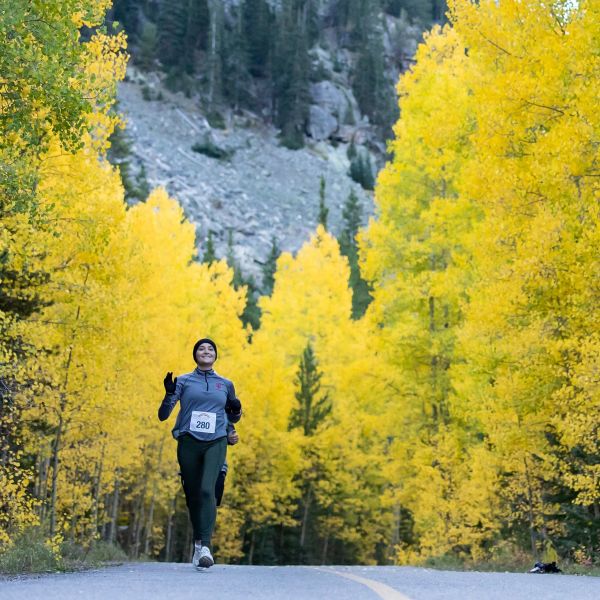 Image of Run the Rockies Road 10K & Half Marathon