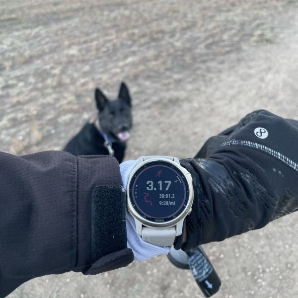 Image of Garmin fenix 6X PRO SOLAR