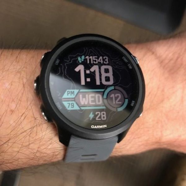 Image of Garmin Forerunner 245