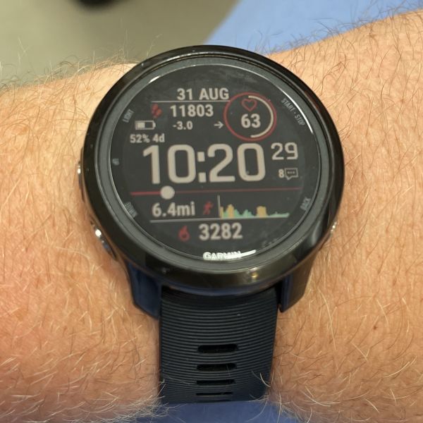 Image of Garmin Forerunner 245 Music