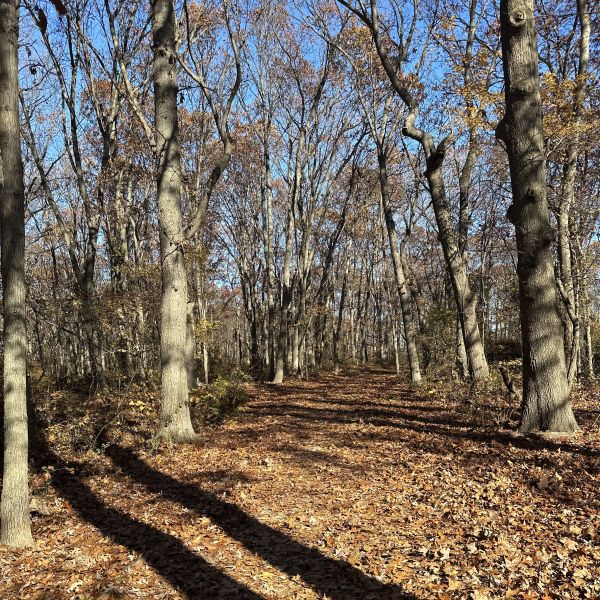 User uploaded image of NYC Trail Mix