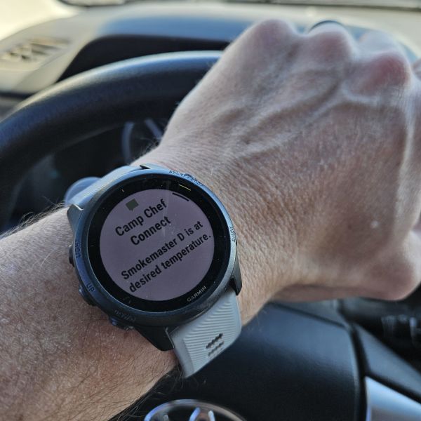 Image of Garmin Forerunner 745