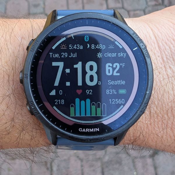 Image of Garmin Garmin 955 Solar