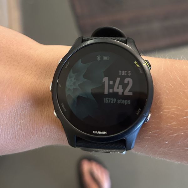 Image of Garmin Garmin Forerunner 255