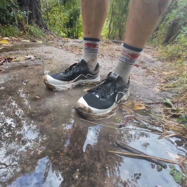 Image of Other Tarkine Giants