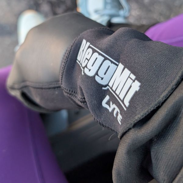 Image of Other Bleggmit Lyte