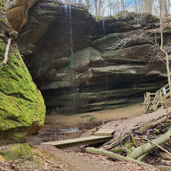 Image of Forget the PR Mohican 25k and 50k