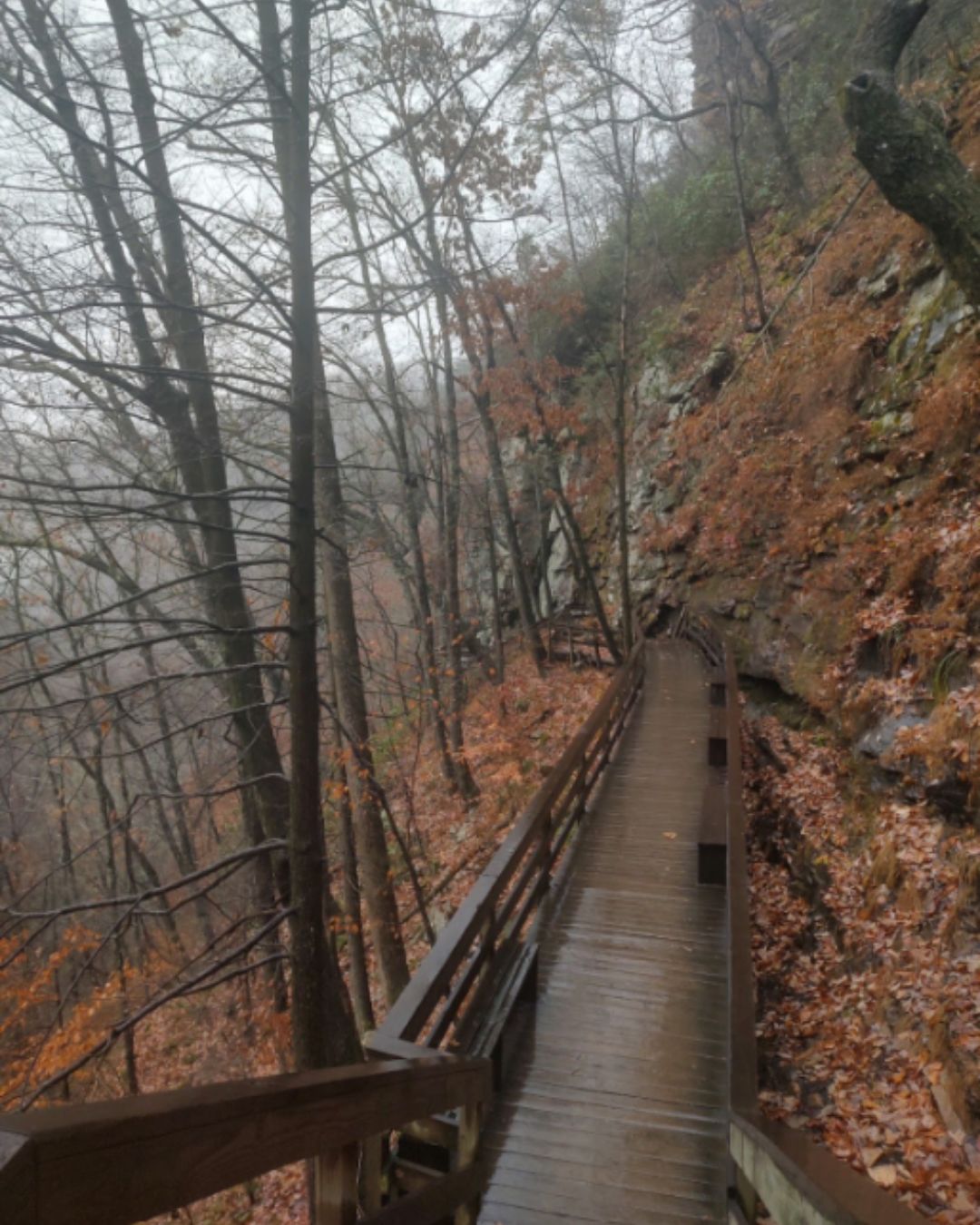 Cloudland Canyon 50K 3 Trail Runners Show You How It's Done by Brynn