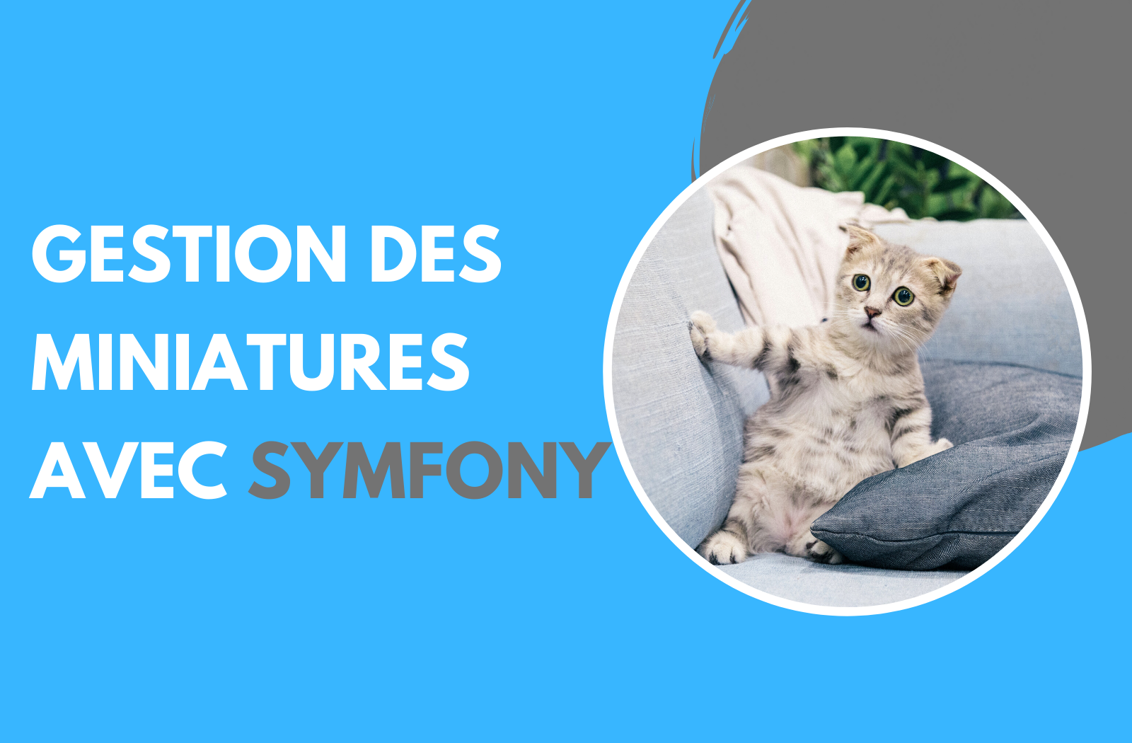 Gérer ses miniatures avec Symfony et Glide