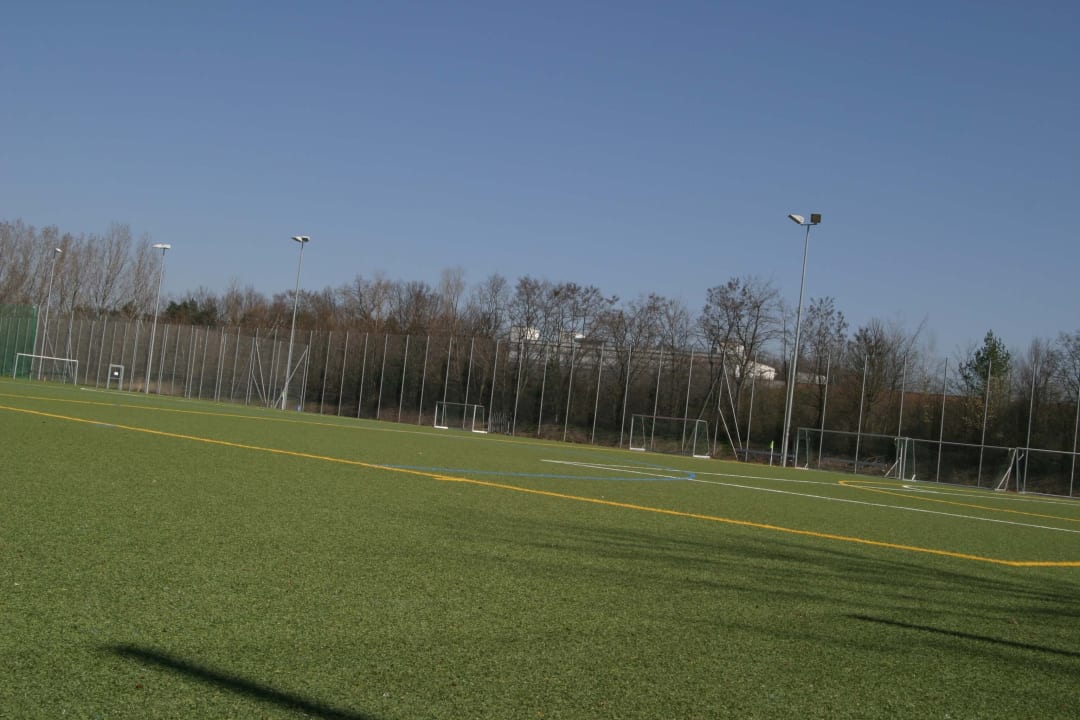 IMG_7532.jpg