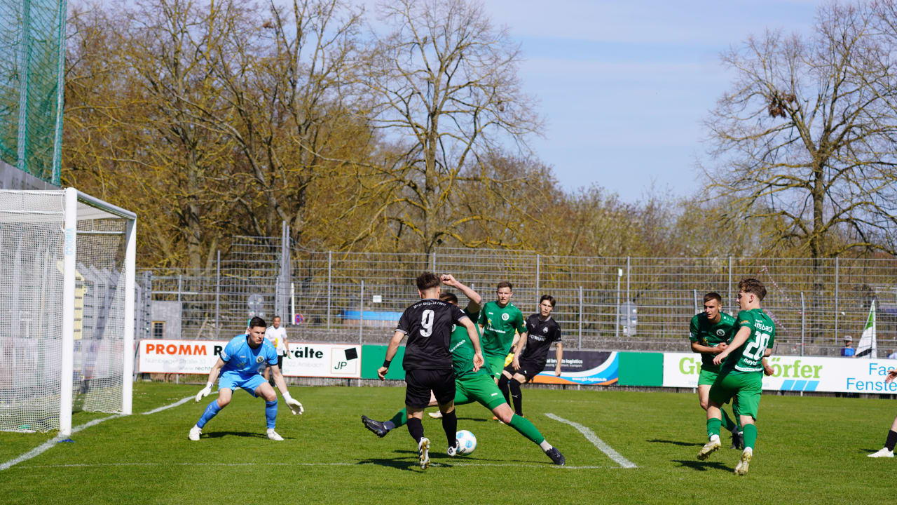 SGF06472.JPG