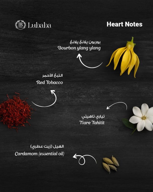 عطور لبابه