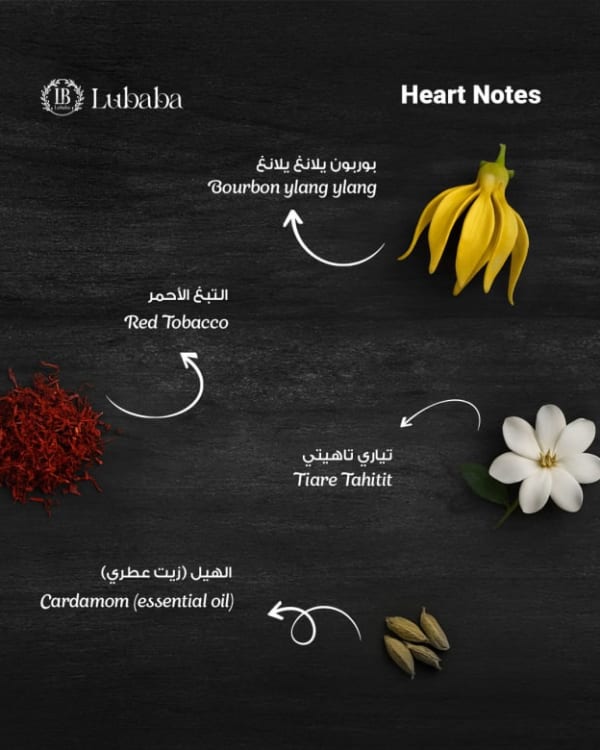 عطور لبابه