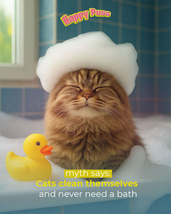 Happypusspets