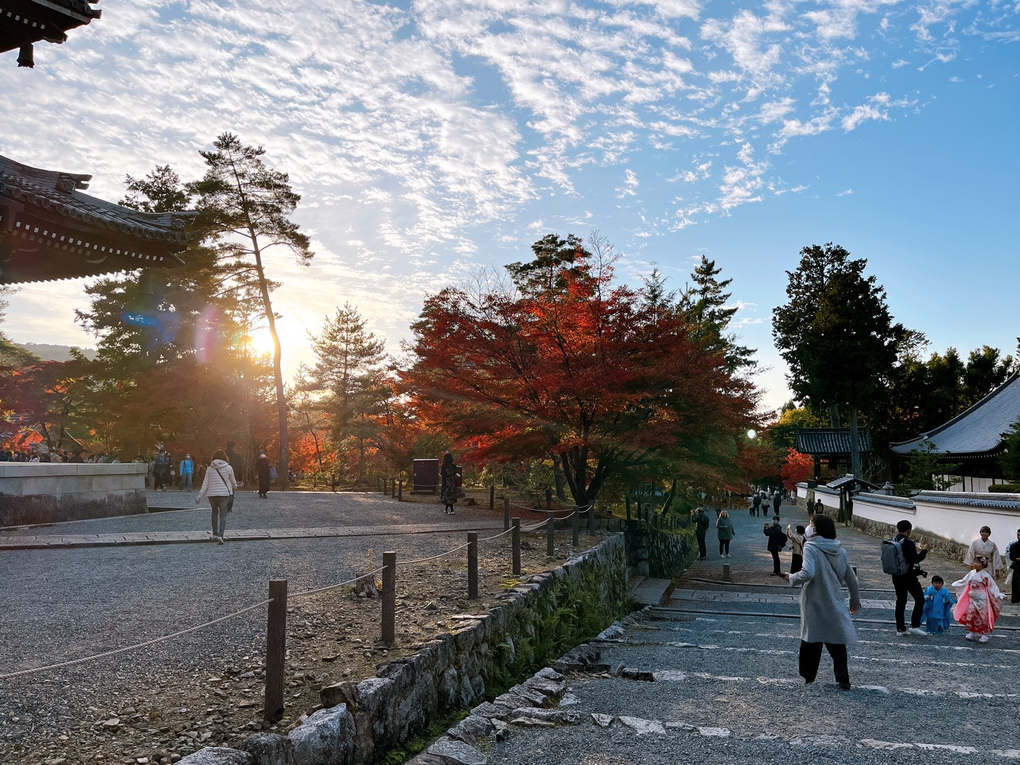 お気に入りの写真の1つ