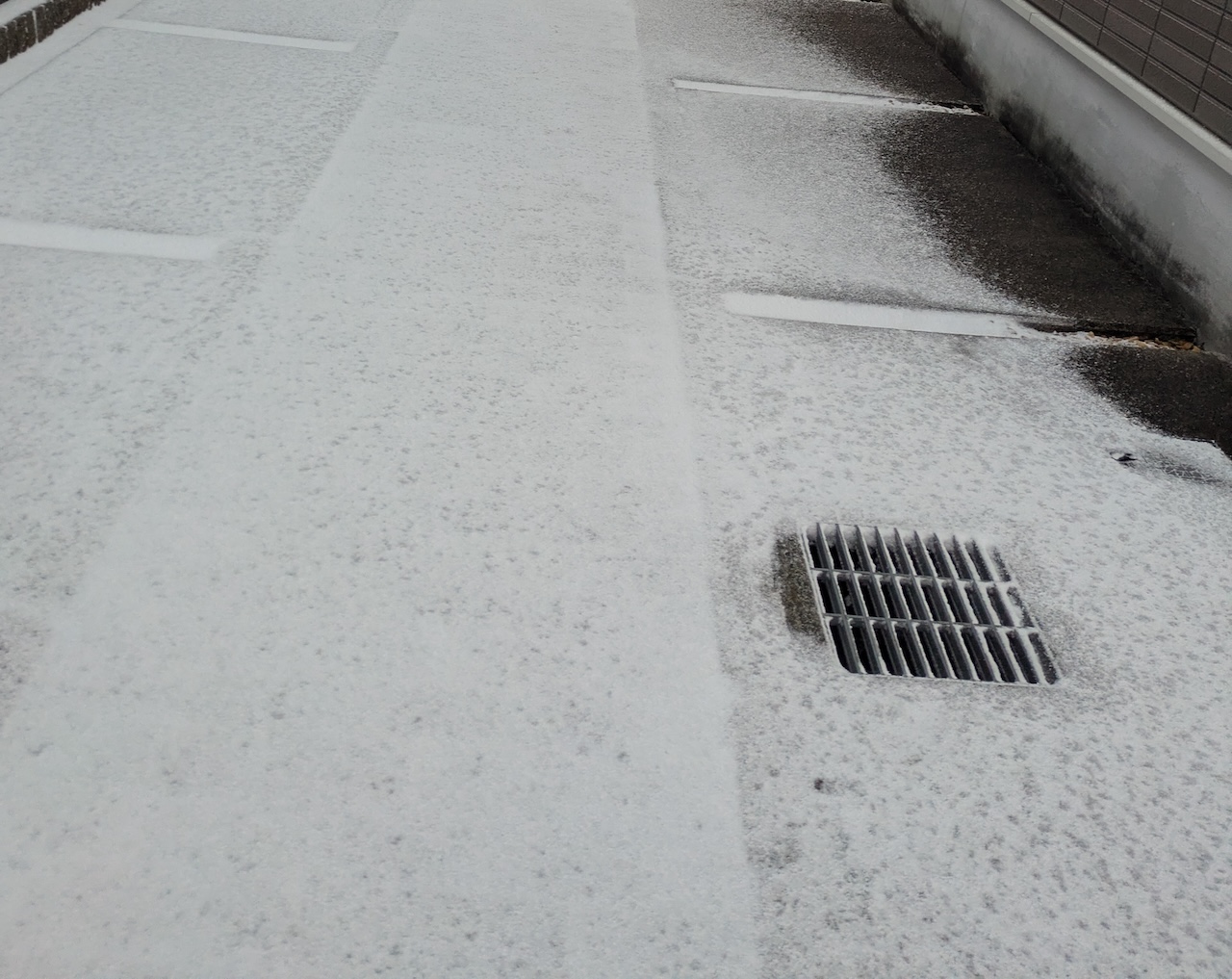 今日の雪は硬かった