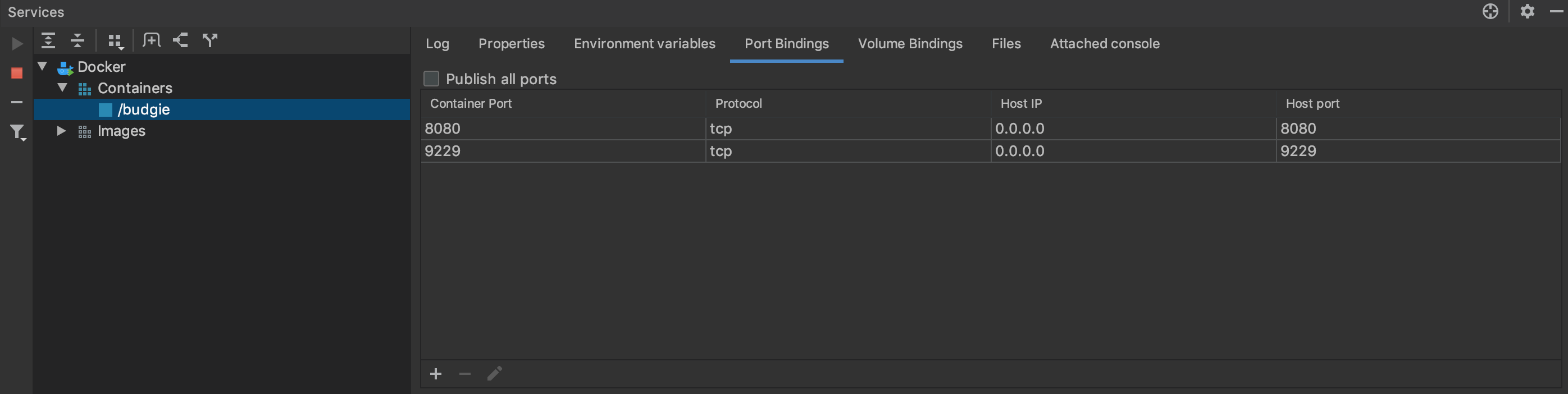 Remote Debugging (Break Point) with IntelliJ + TypeScript + Docker