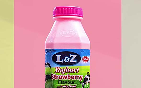 a Piece of L & Z yoghurt 