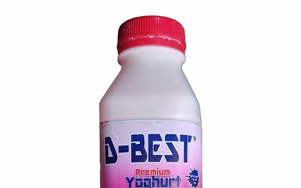 a Piece of D Best Yogurt