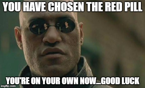 Morpheus of the Matrix telling you, that you are on your own now. Poor you.