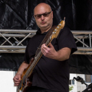 Profilbild von Wil Fried - Bassist*in aus Mainz