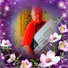 Profile image from Rolf Heck - Keyboard player from Waldshut-Tiengen