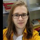Profilbild von Alex - Bassist*in aus Mainz