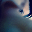 Profilbild von Al Shirazi - Songwriter aus Hamburg