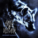 Profile image from Cult of Hyenas - Band from Bonn