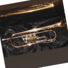 Profile image from Jürgen - Trumpeter from Rain