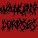 Profilbild von WALKING CORPSES Band aus Essen