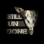 Profilbild von STILL UNDONE Band aus Tönisvorst