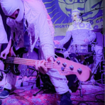 Profilbild von The Beasts Band aus Hamburg