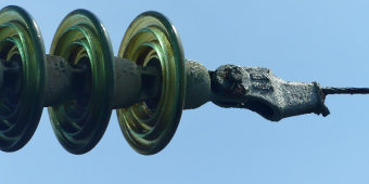 Bannerbild von HARALD BOSH Sänger aus Lingen (Ems)