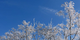 Seo.images.profile.banner.name-category-city