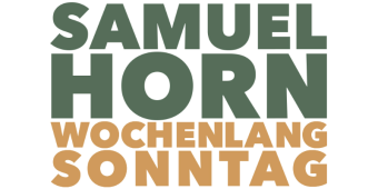 Bannerbild von Samuel Horn Gitarrist aus Köln