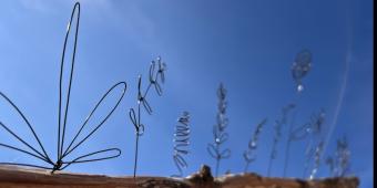 Seo.images.profile.banner.name-category-city