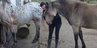 Bannerbild von Danyana Paschenko Singer-Songwriterin aus Lübeck