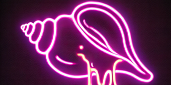 Bannerbild von maryella Singer-Songwriterin aus Göhrde