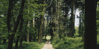 Bannerbild von F2FCS Songwriter aus Bremen Bannerbild von F2FCS Songwriter aus Bremen