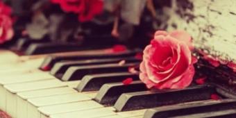 Bannerbild von Julia300503 Singer-Songwriterin aus Hamburg